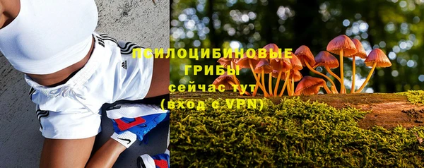 кокс Кукмор